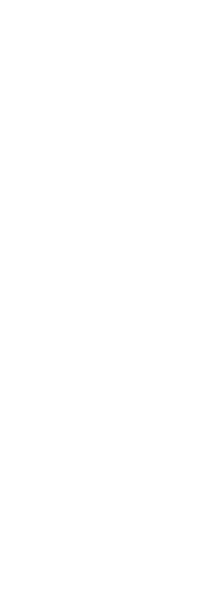 空飛ぶ捜索医療団 ARROWS