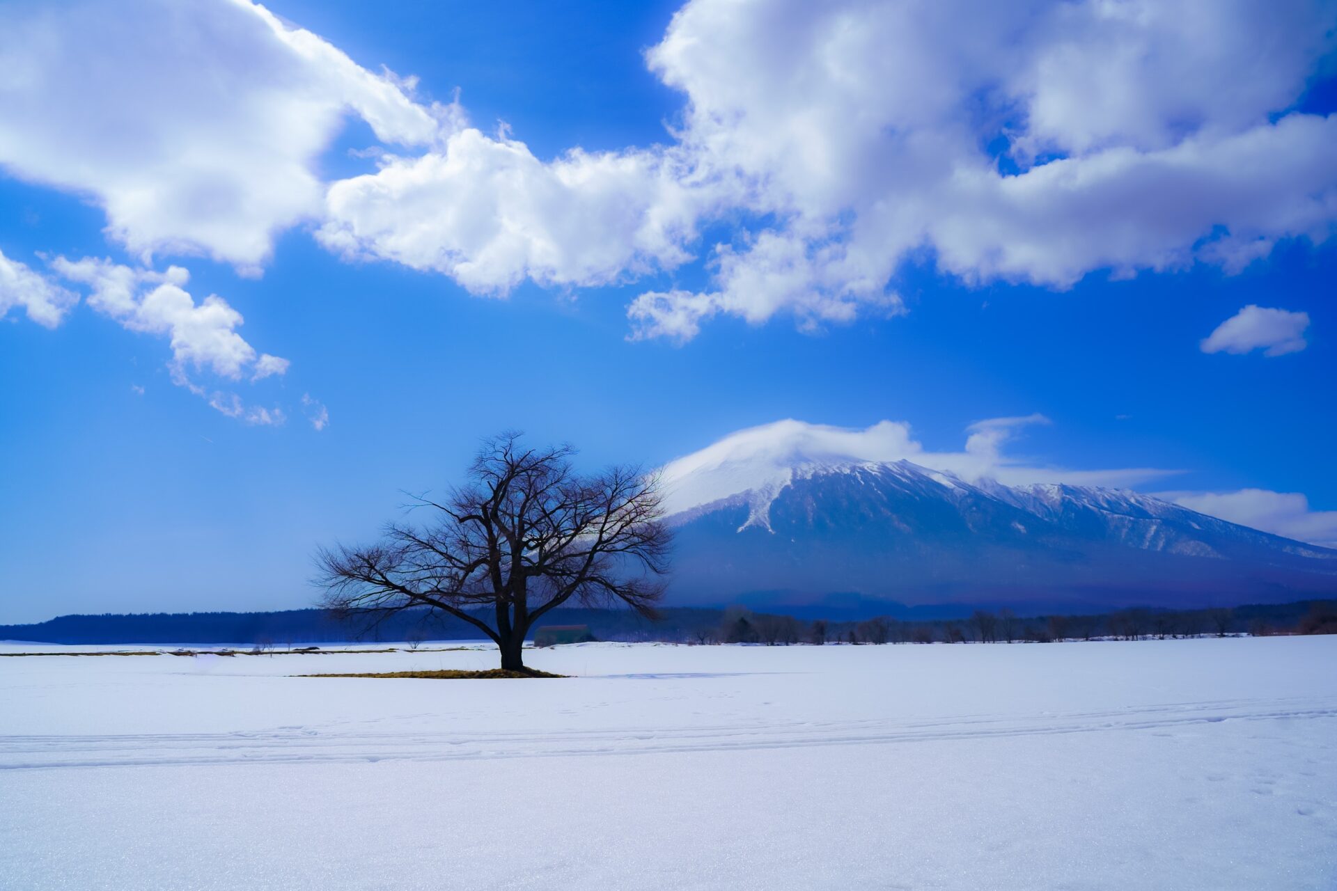 日本を取り巻く災害リスクと「お金」についての考察