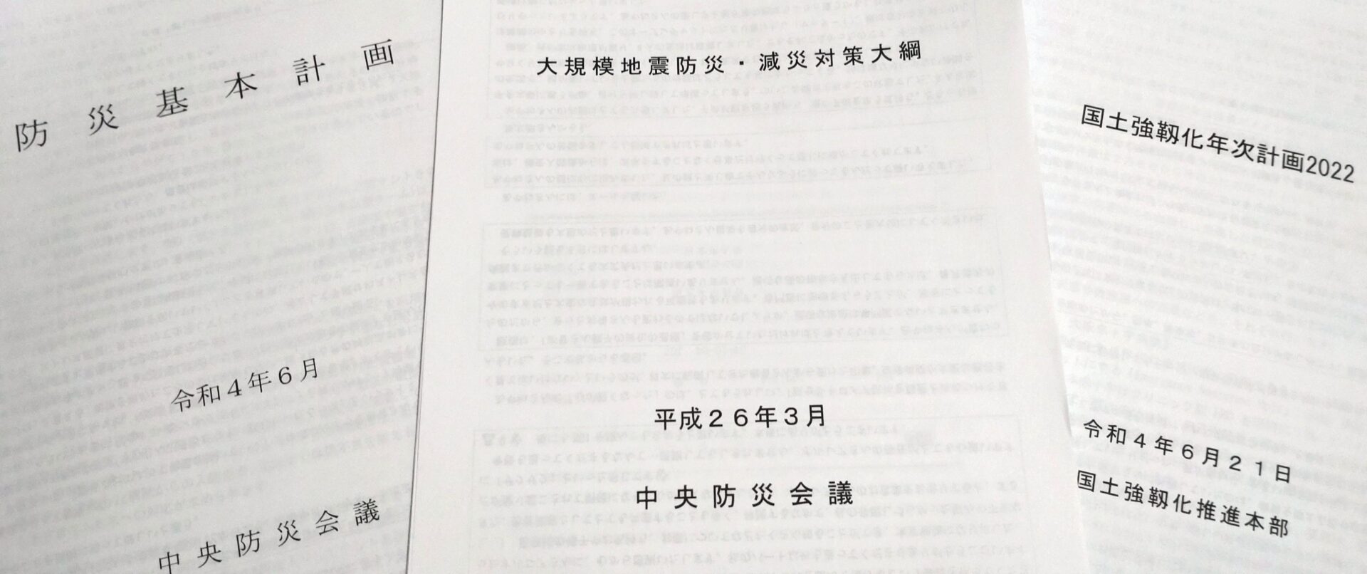 中央防災会議資料の画像です。