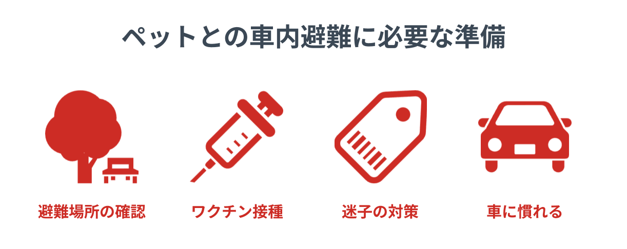 ペットと一緒の車内避難での持ち物・過ごし方・注意点を解説