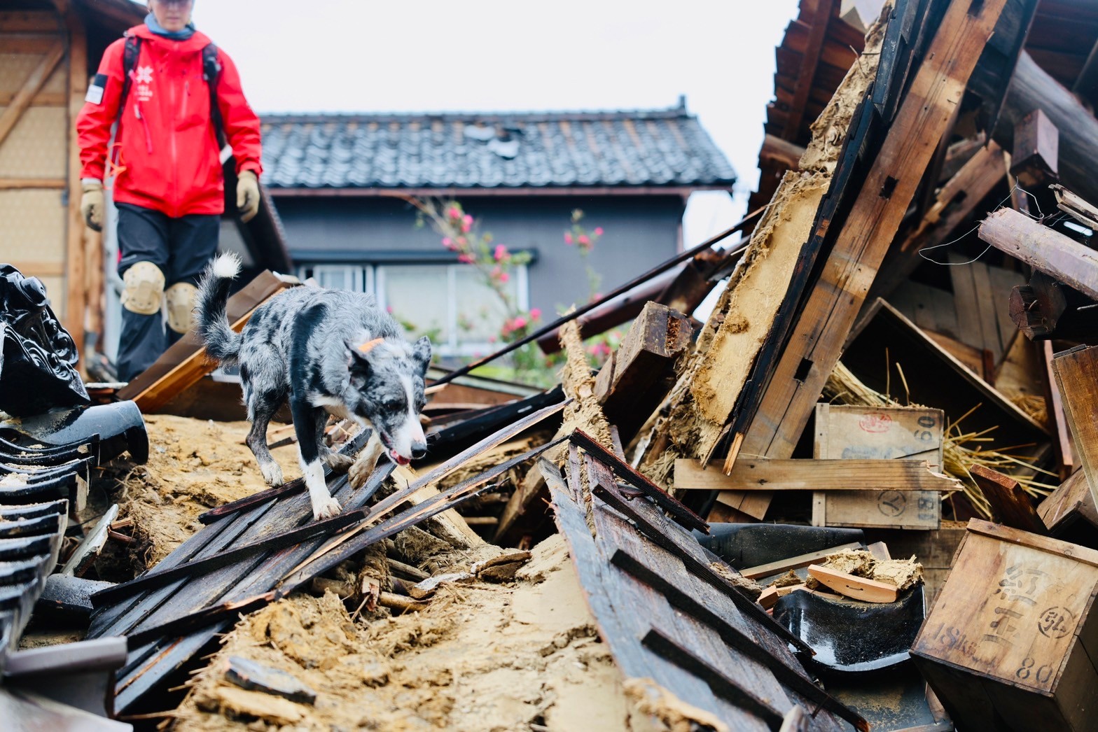 【令和6年能登半島地震】空飛ぶ捜索医療団・緊急支援2日目 活動報告